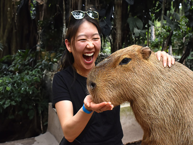 Animal Encounters